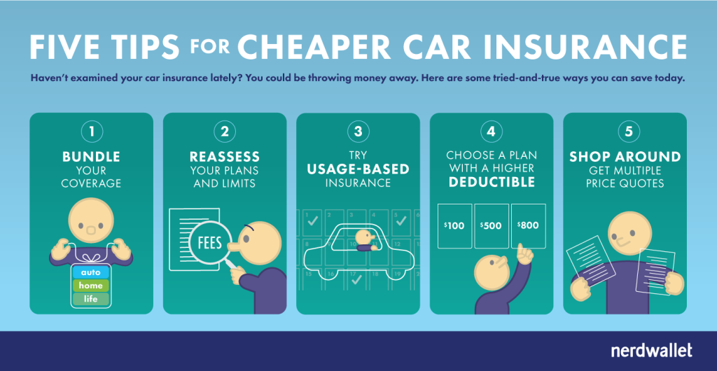 Faq - The Basics of Car Insurance: A step by Step Guide